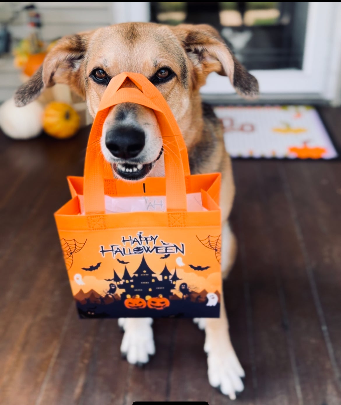 Paw patrol halloween bag 2025